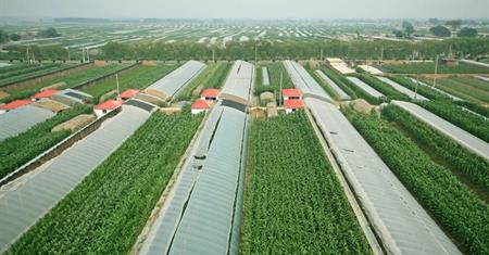 Crop 02122024.jpg?RenditionId=13